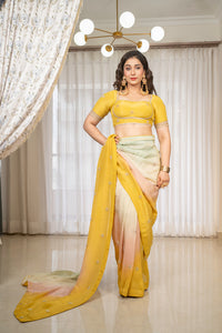 Fashion4word Estelle Ombre Premium Saree